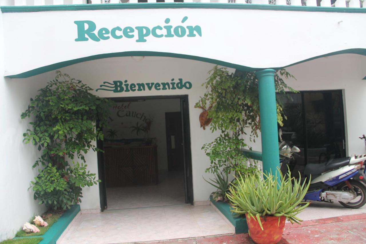 El Caucho Hotel โบกา ชิกา ภายนอก รูปภาพ